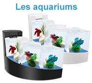 Aquariums Aqua Falls