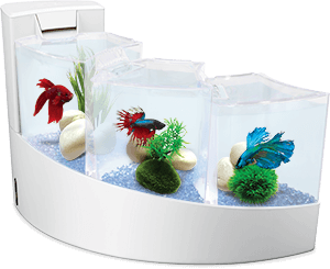 Votre Aqua Falls® Blanc spécial combattants Votre Aqua Falls® Blanc spécial combattants